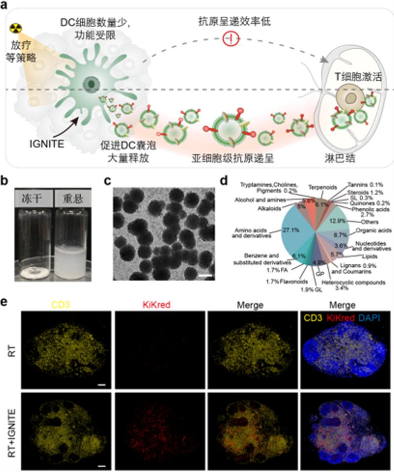 生物智能材料与诊疗技术国家级重点实验