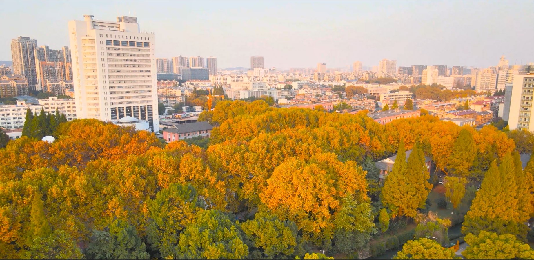 同题参见